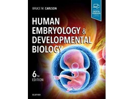Human Embryology and Developmental Biology 6th edition