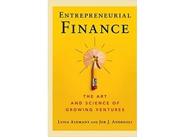 Entrepreneurial Finance - The Art and Science of Growing Ventures