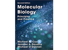 Molecular Biology  Principles and Practice