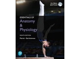 Essentials of Anatomy and Physiology 8ste editie