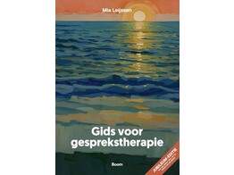 Gids voor gesprekstherapie 2e druk