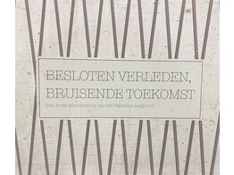 Besloten verleden  bruisende toekomst. Een korte geschiedenis van het Hasselts Begijnhof